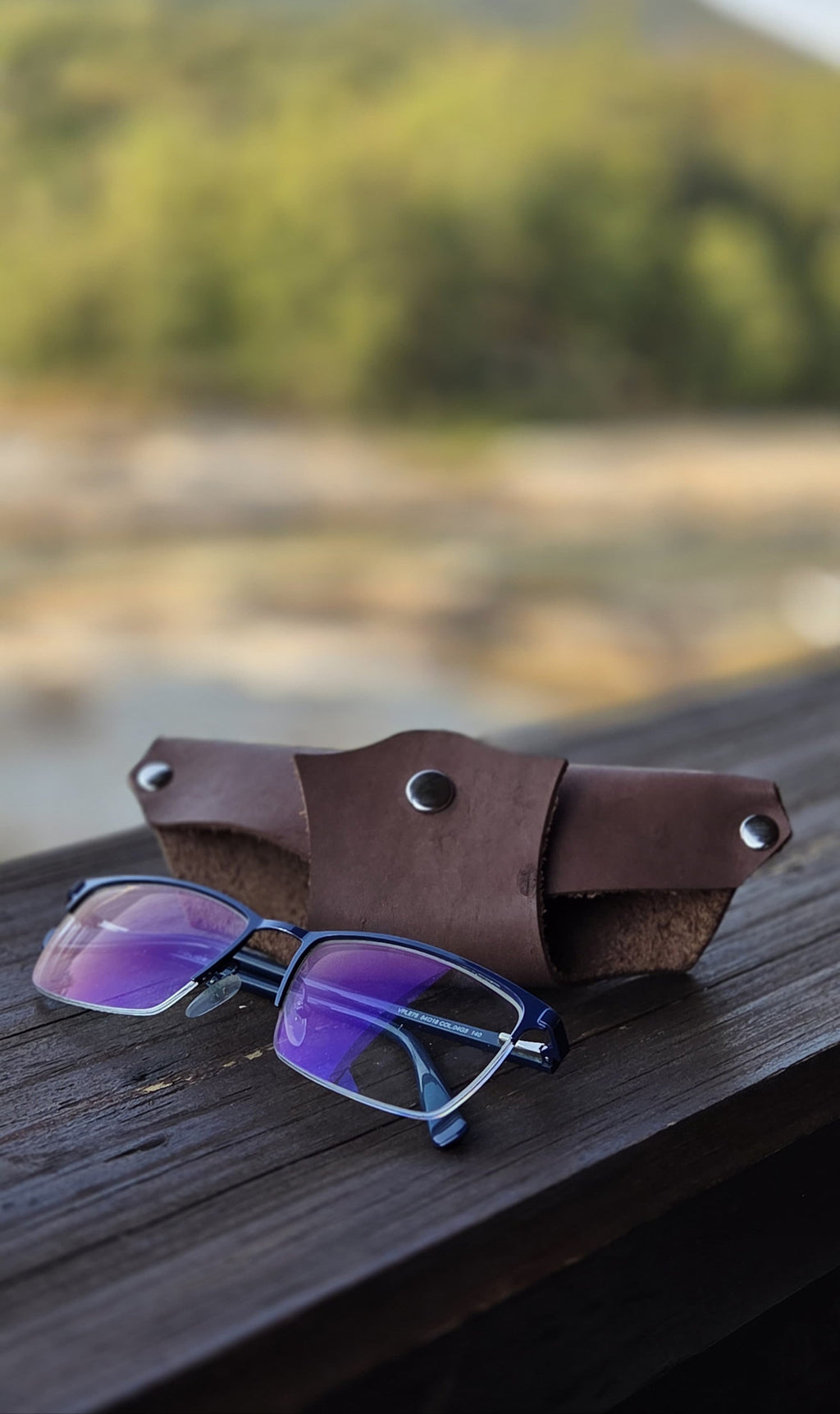Leather Glasses Carrier